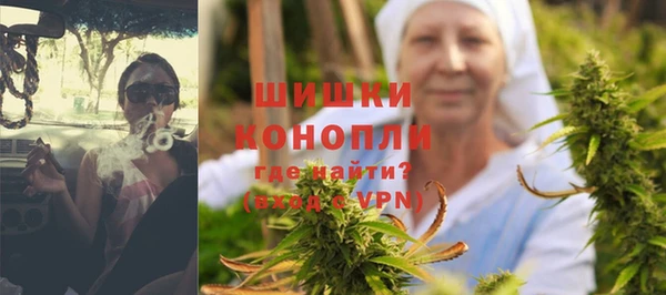 индика Михайловск