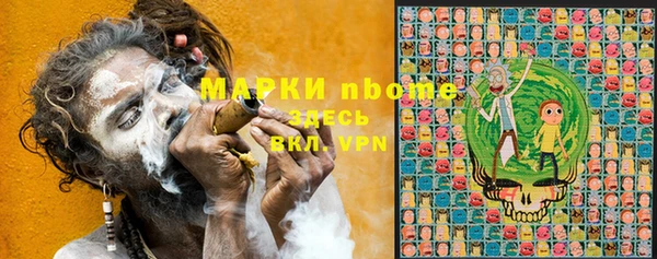 индика Михайловск