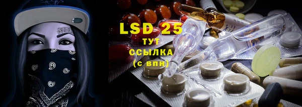 прущие грибы Наволоки