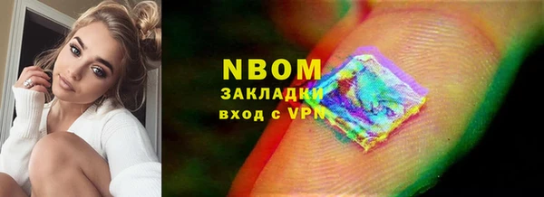 индика Михайловск