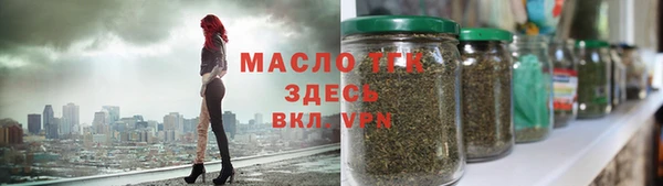индика Михайловск