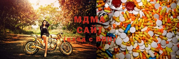 индика Михайловск