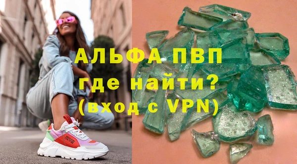 индика Михайловск