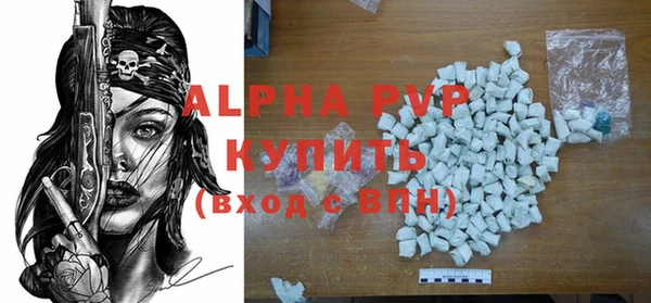 прущие грибы Наволоки