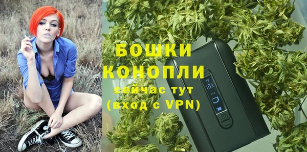 прущие грибы Наволоки