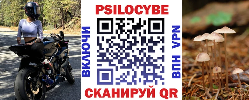 купить наркоту Севастополь Псилоцибиновые грибы MAGIC MUSHROOMS