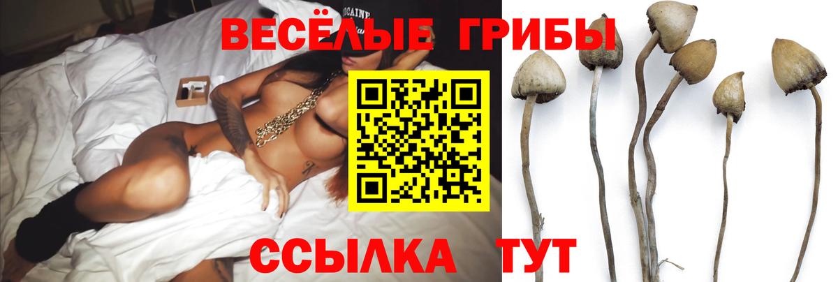 Севастополь  Галлюциногенные грибы MAGIC MUSHROOMS  Вход с VPN 